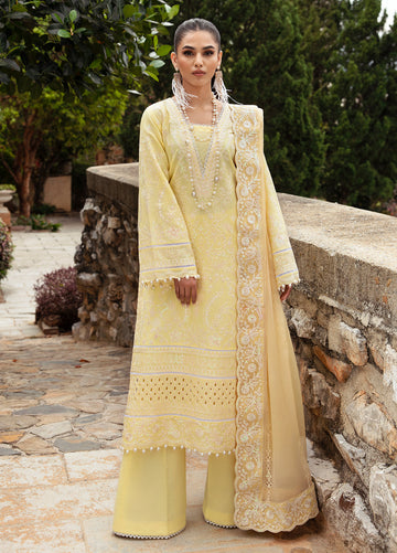 Gulaal Valeria (Gl-Ll-24V1-01) Online Shopping